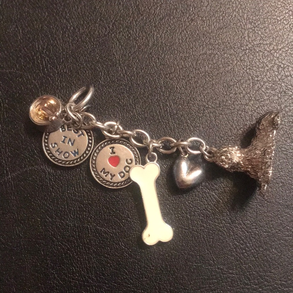 I LOVE MY DOG 6 individual CHARMS 🐶